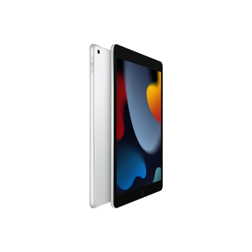 iPad 9th Gen 10.2-inch Wi-Fi 256GB - Image 2