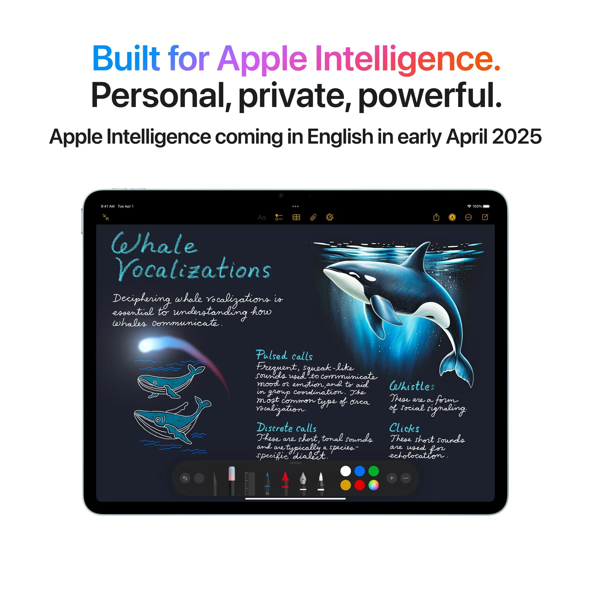 iPad Air M3 | 11-inch | Wi-Fi + Cellular | 1TB - Image 5